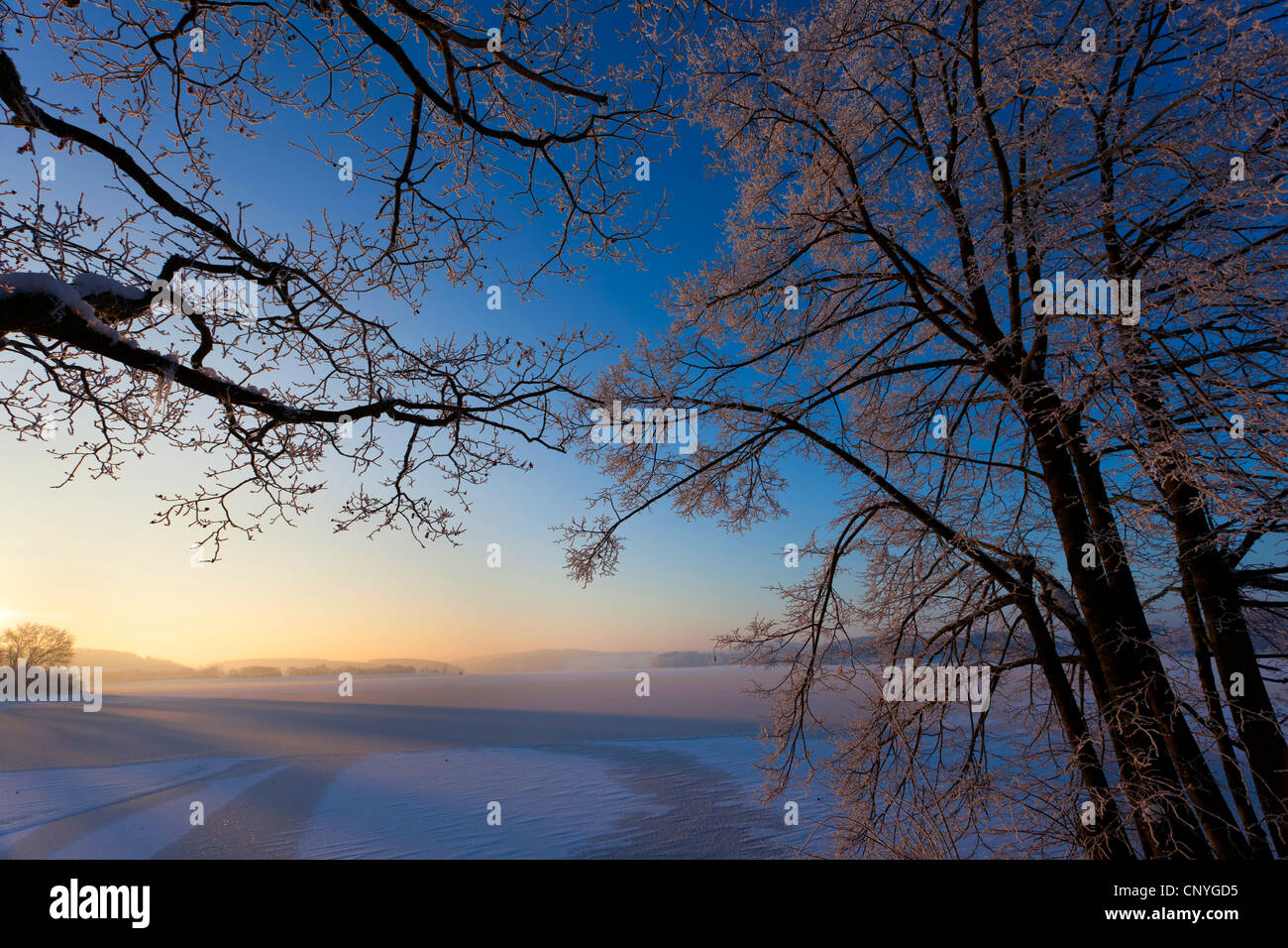 winterlichen Sonnenaufgang am See Poehl, Deutschland, Sachsen, Vogtland Stockfoto