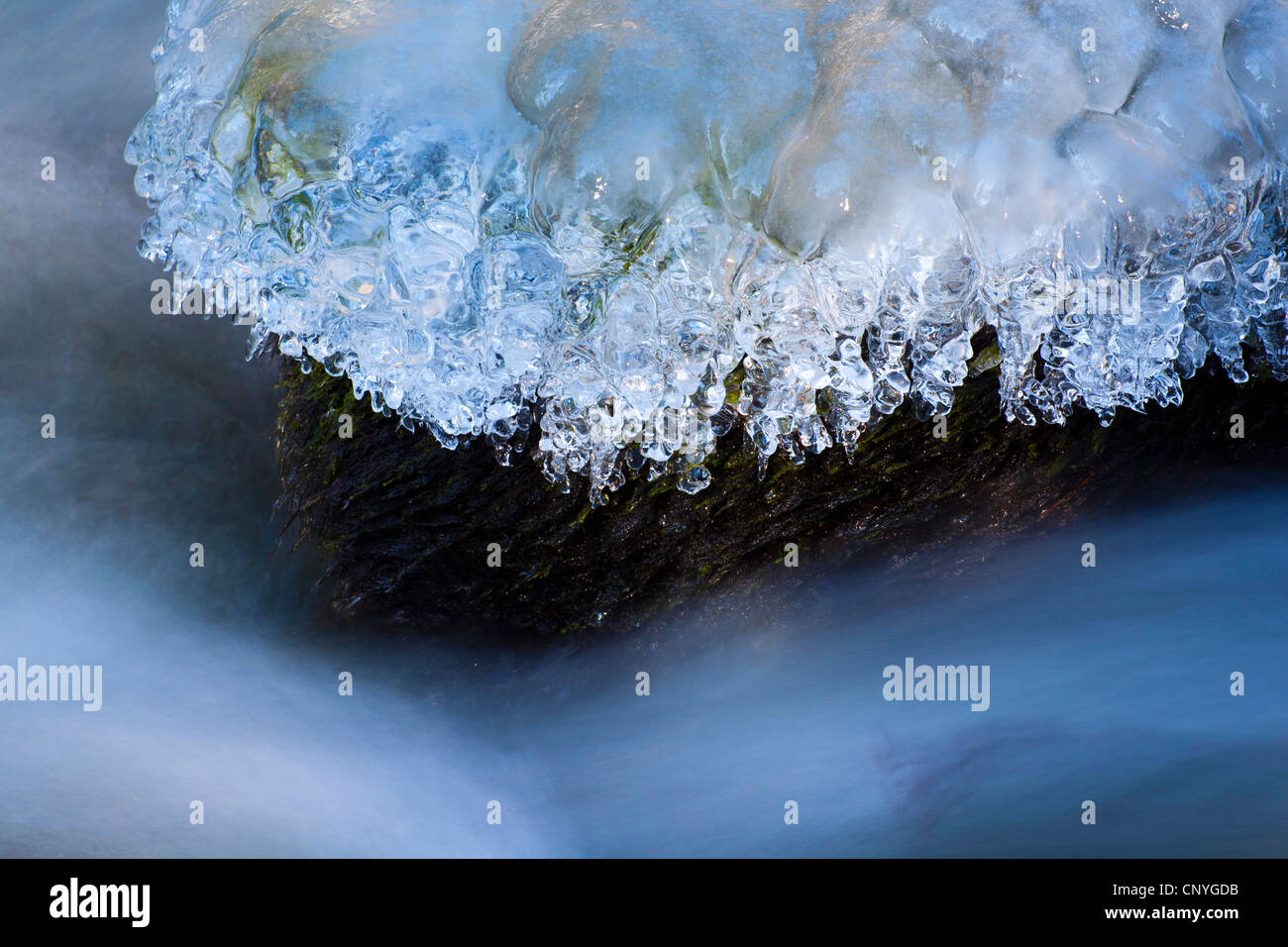 eisige Stein am Fluss Ufer, Deutschland, Sachsen, Vogtland Stockfoto