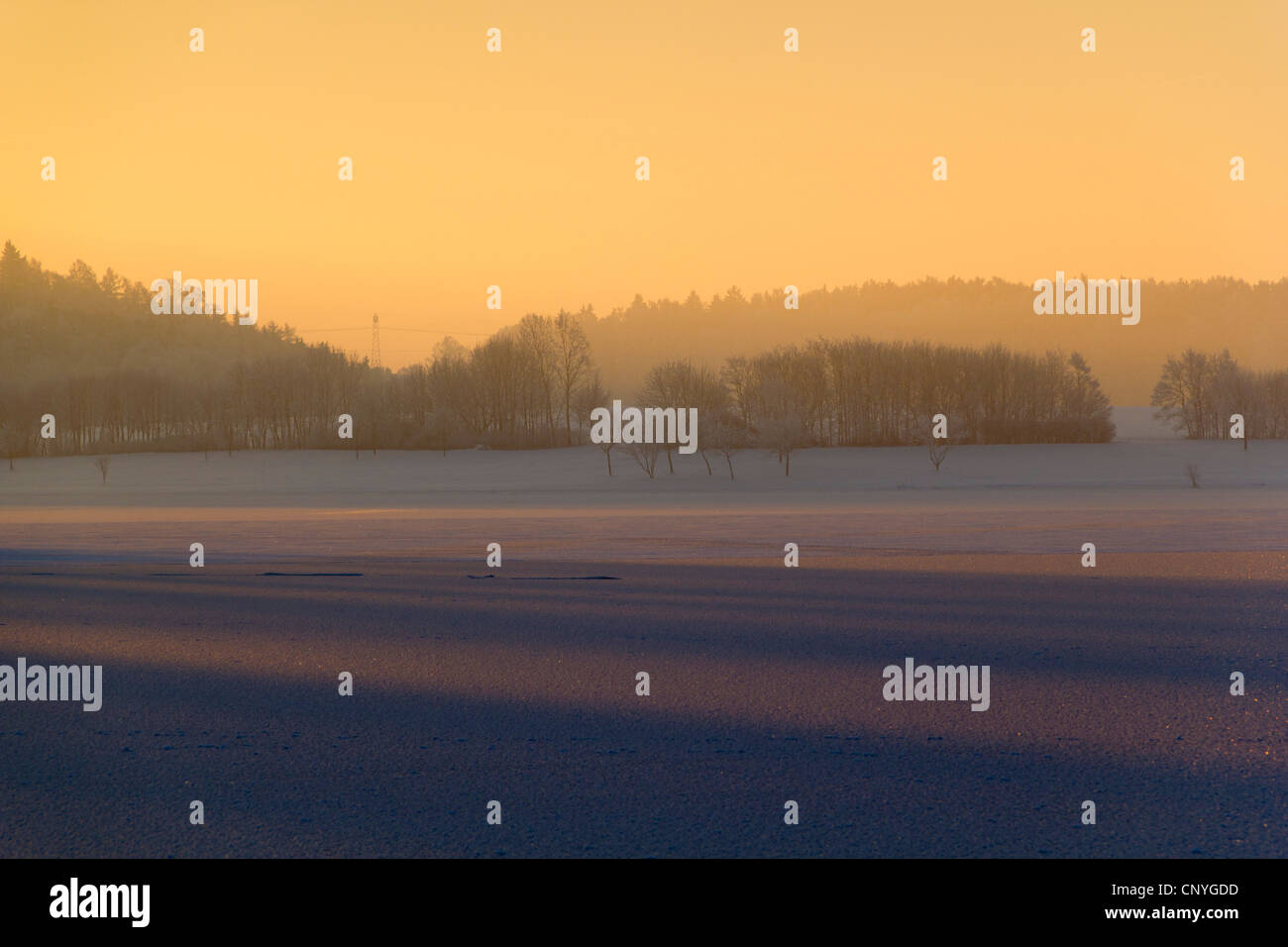 Winterlandschaft bei Sonnenaufgang, Deutschland, Sachsen, Vogtland Stockfoto