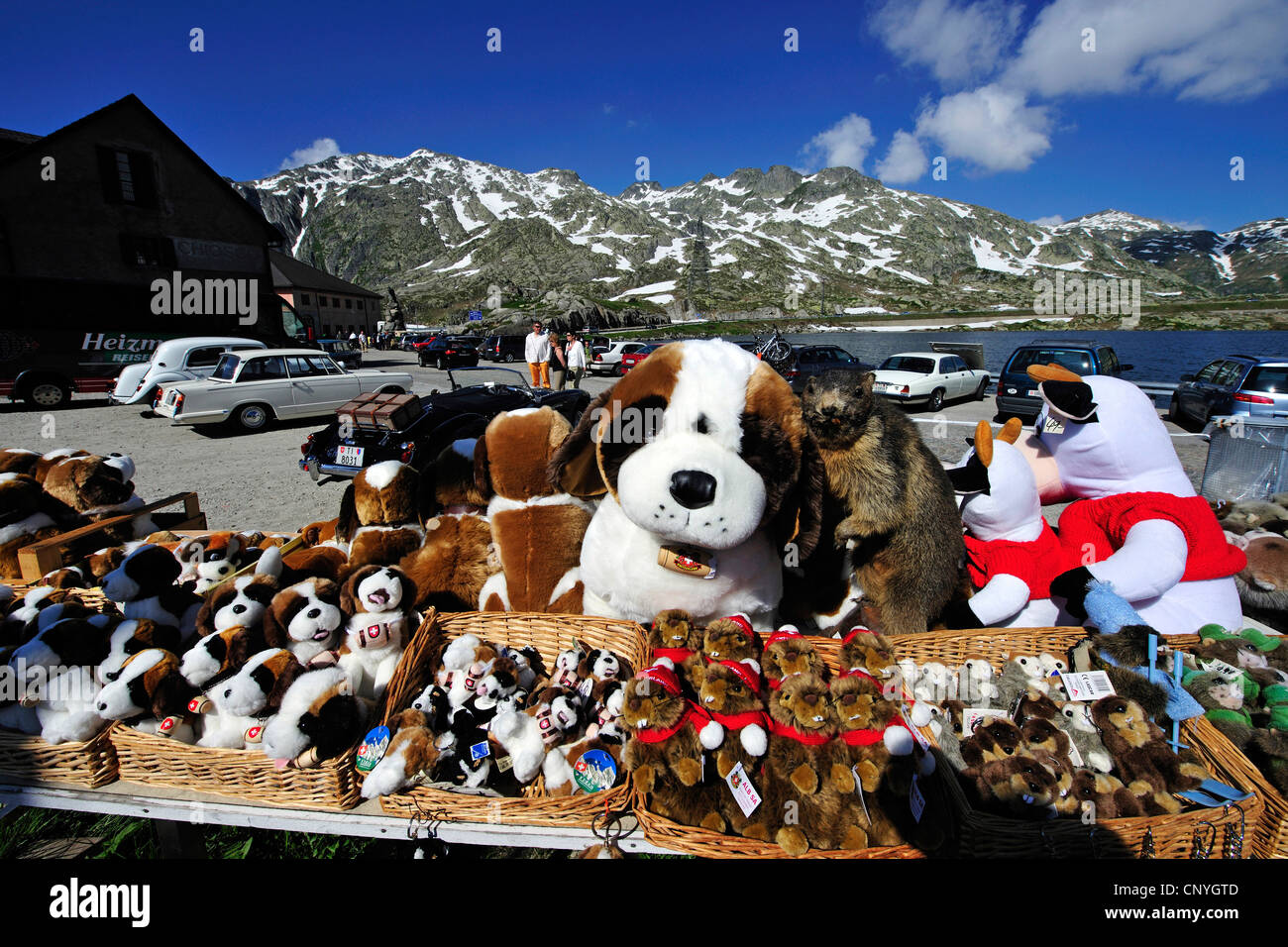 Bernhardiner Hunde wie kuscheln Spielzeug im Souvenir-Shop der Gotthardpass, Schweiz Stockfoto