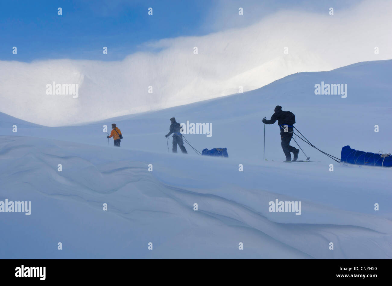 Ski-Wanderer mit Pulk im Schneegestöber im Tal Stuor Reaiddavaggi, Kebnekaise fiel, Schweden, Norrbotten Lappland Stockfoto