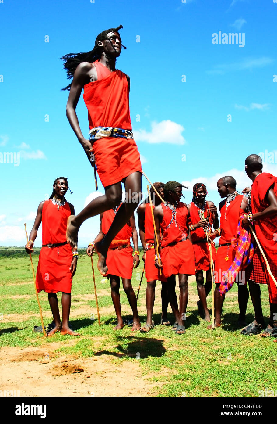 Afrikanische traditionelle Sprünge, Masai Mara Krieger tanzen, Kenia Stockfoto