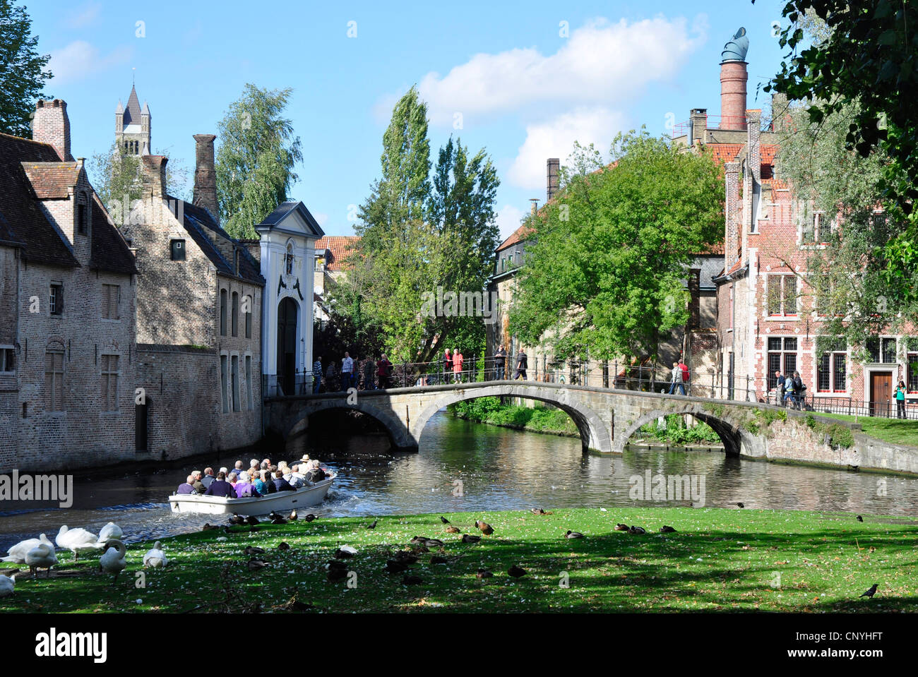 Belgien - Brügge - Szene - Wijngaard Plein - Kanalboot Tour - Schwäne - Kanalbrücke - Altbauten - Sonnenlicht - blauer Himmel Stockfoto