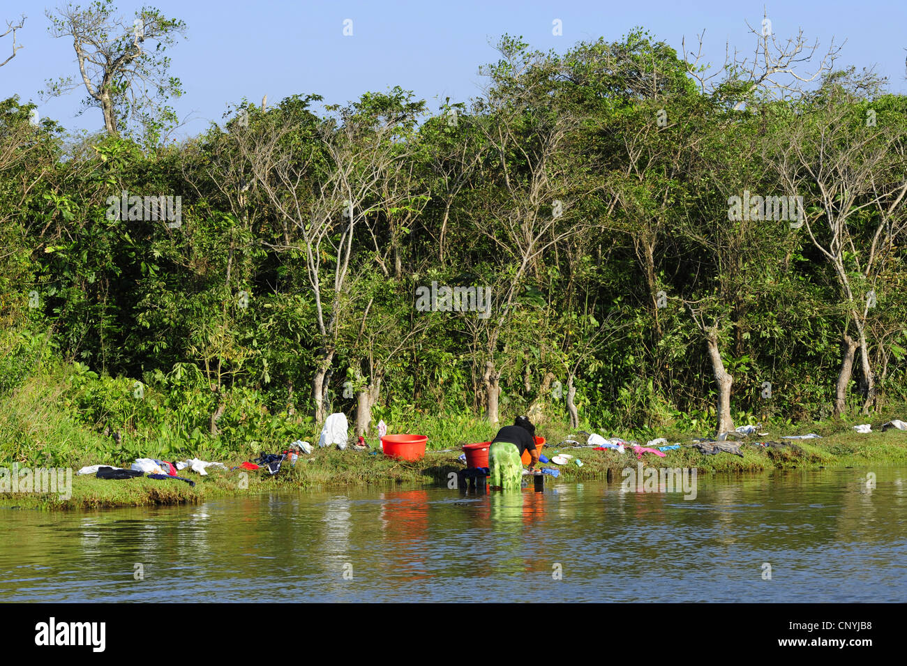 Waschen der Wäsche in einem Fluss, Honduras, La Mosquitia, Las Marías gebürtige Inderin Stockfoto