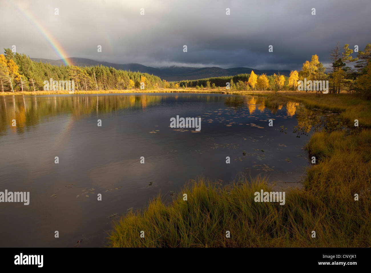 idyllischer See in herbstlichen Licht mit Regenbogen, Glenfeshie, Cairngorms National Park, Schottland, Vereinigtes Königreich Stockfoto