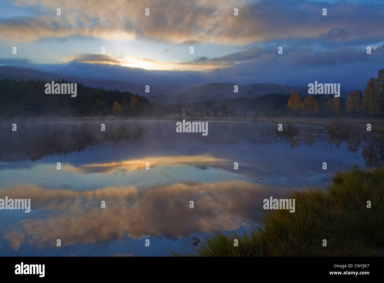 Morgendämmerung über Uath Tümpeln, Großbritannien, Schottland, Cairngorms National Park, Glenfeshie Stockfoto