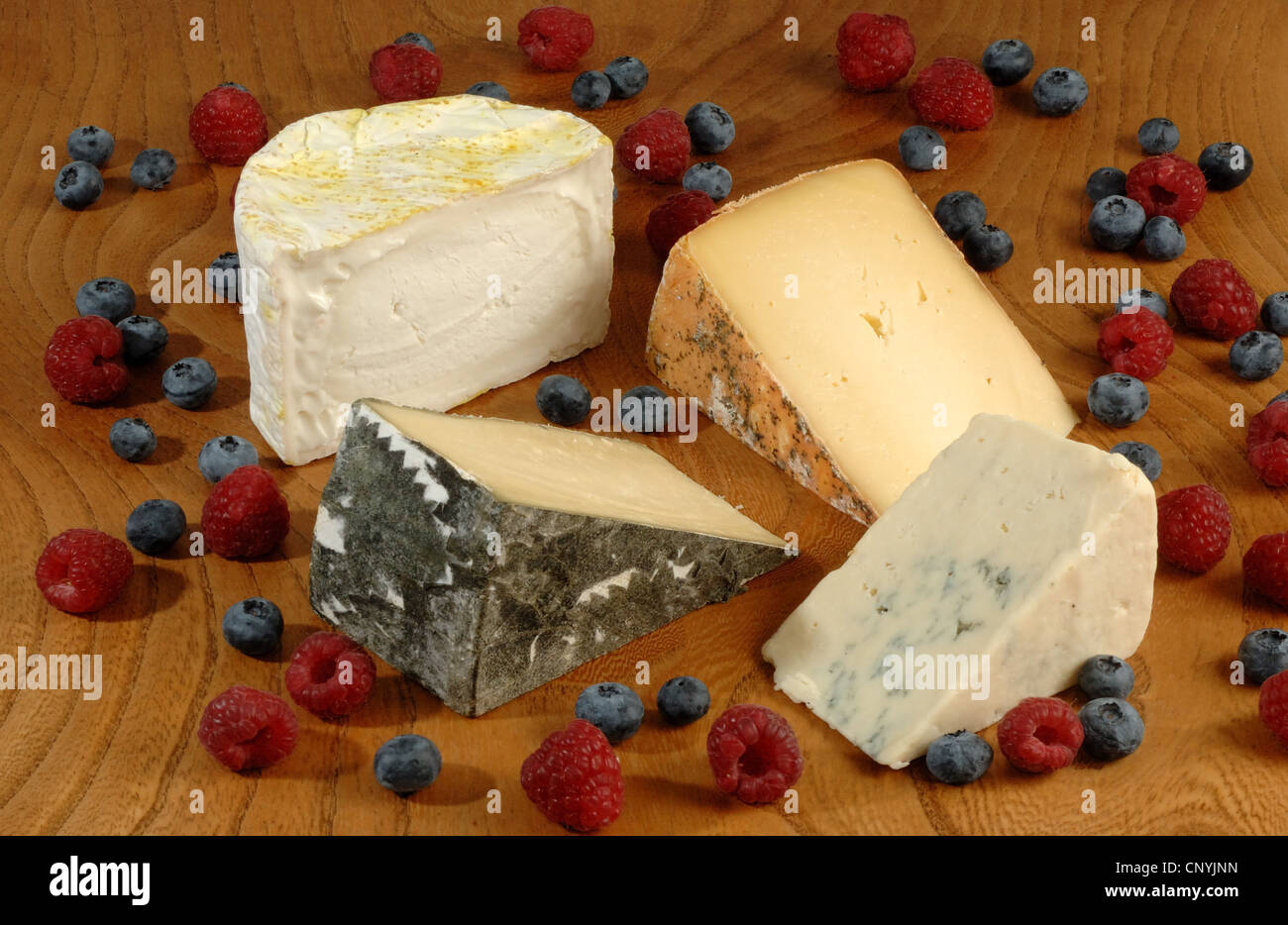 Eine Auswahl an Käsesorten der Westen des Landes aus dem Westen von England UK Stockfoto