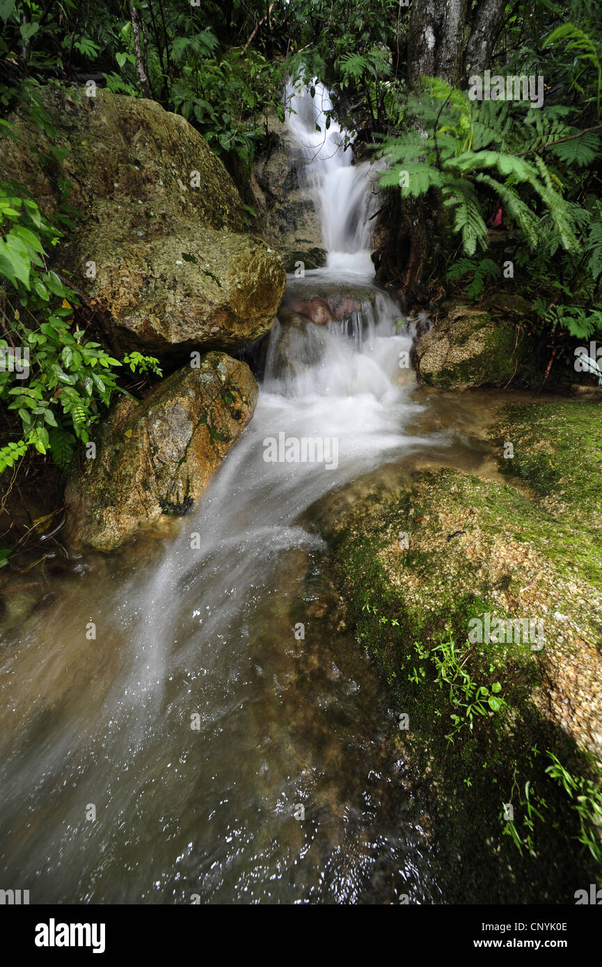 Wasserfall, Honduras, Pico Bonito, Pico Bonito Nationalpark Stockfoto