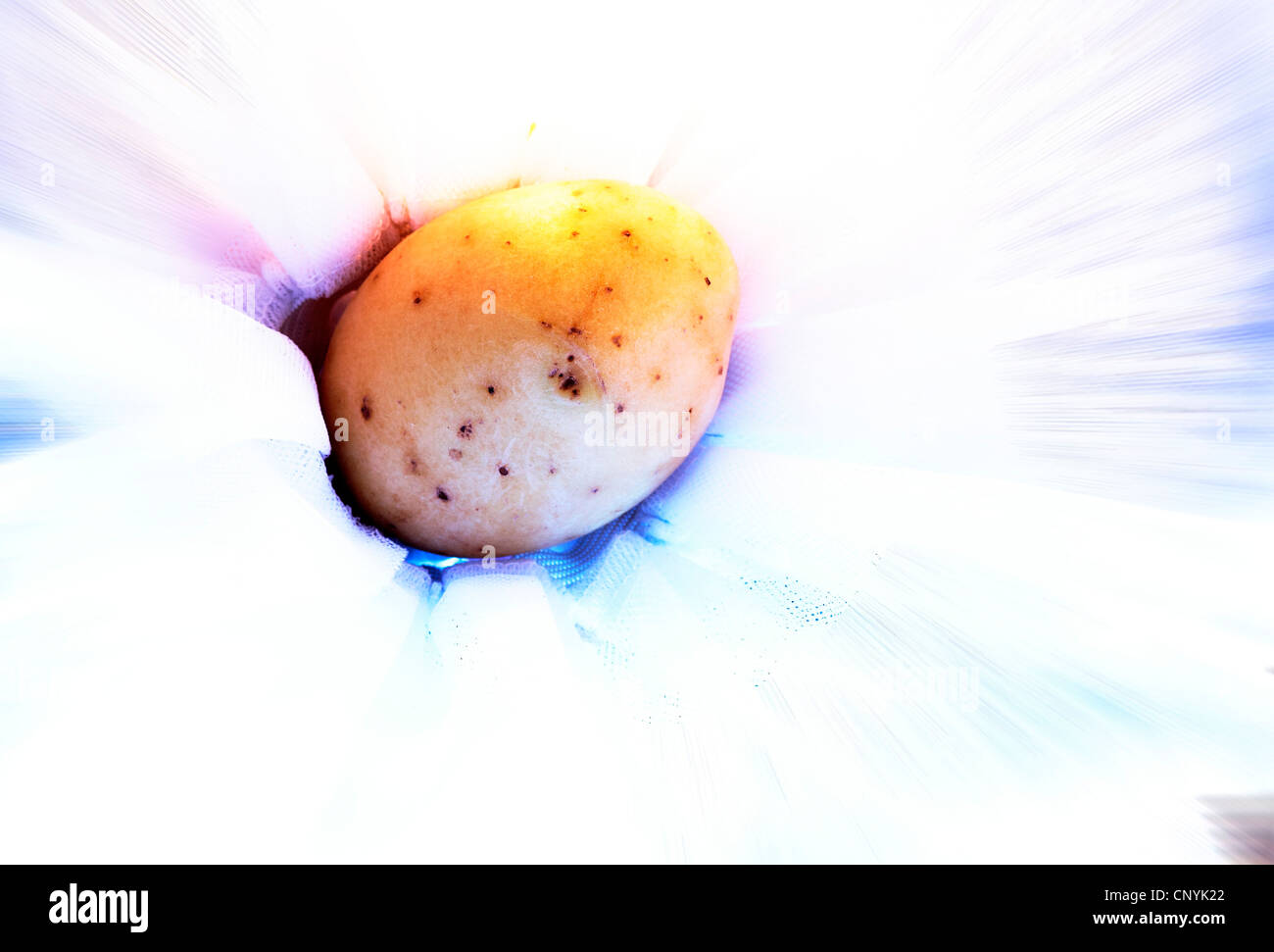 "Frutas y Verduras y organicas saludables Stockfoto