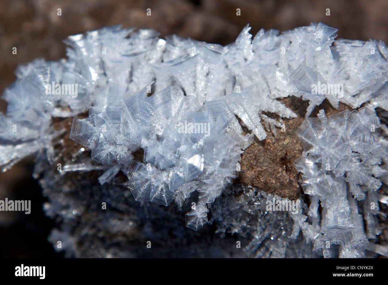 Eiskristalle auf einem Felsen, Italien, Bozen Stockfoto