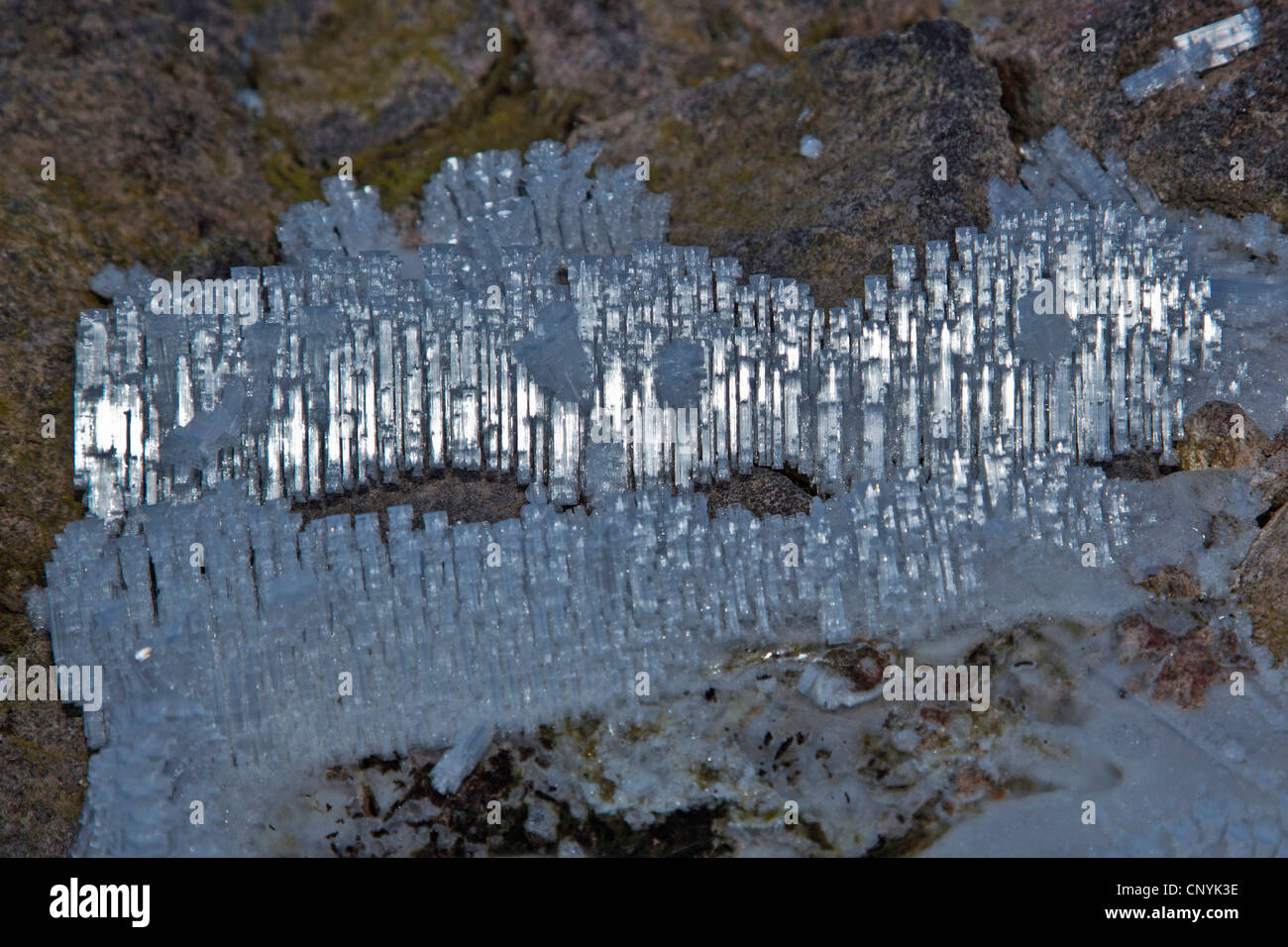 Eiskristalle auf einem Felsen, Italien, Bozen Stockfoto