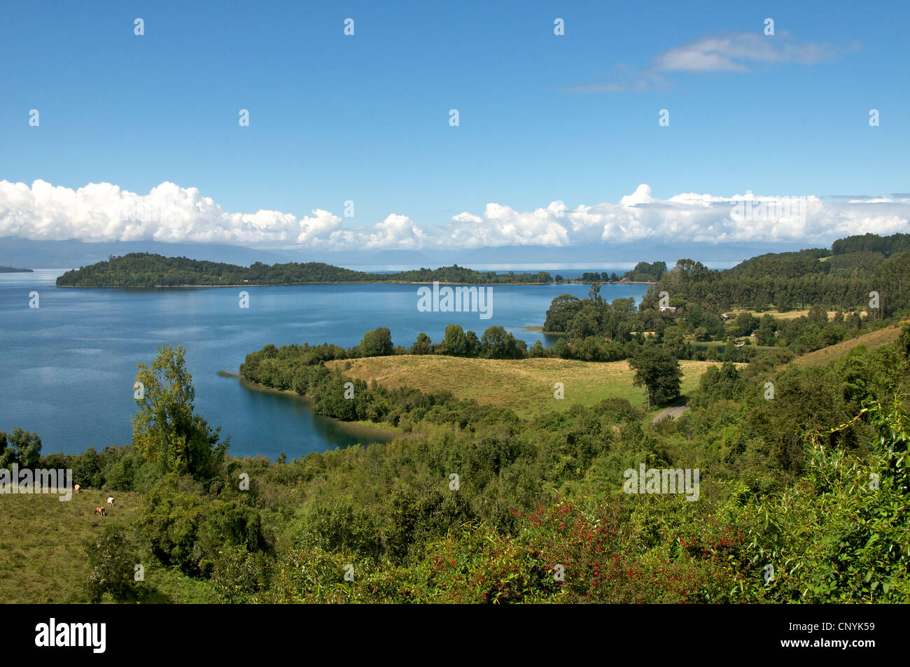 Centinela Halbinsel Lago Llanquihue Puerto Octay Seenplatte Chile Stockfoto