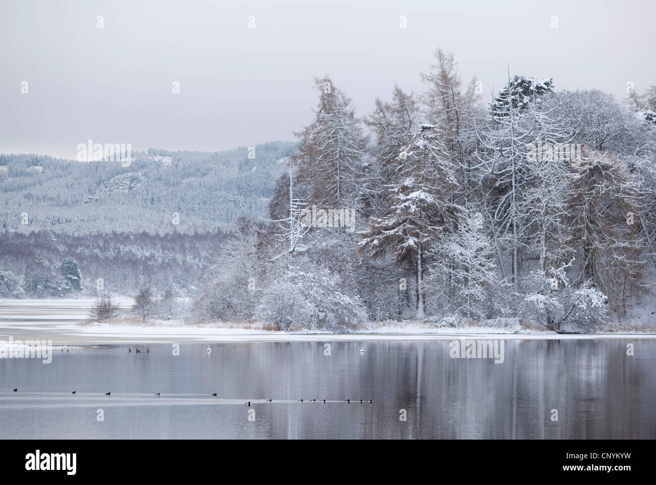 Loch Insh in Winter, Großbritannien, Schottland, Cairngorm National Park Stockfoto