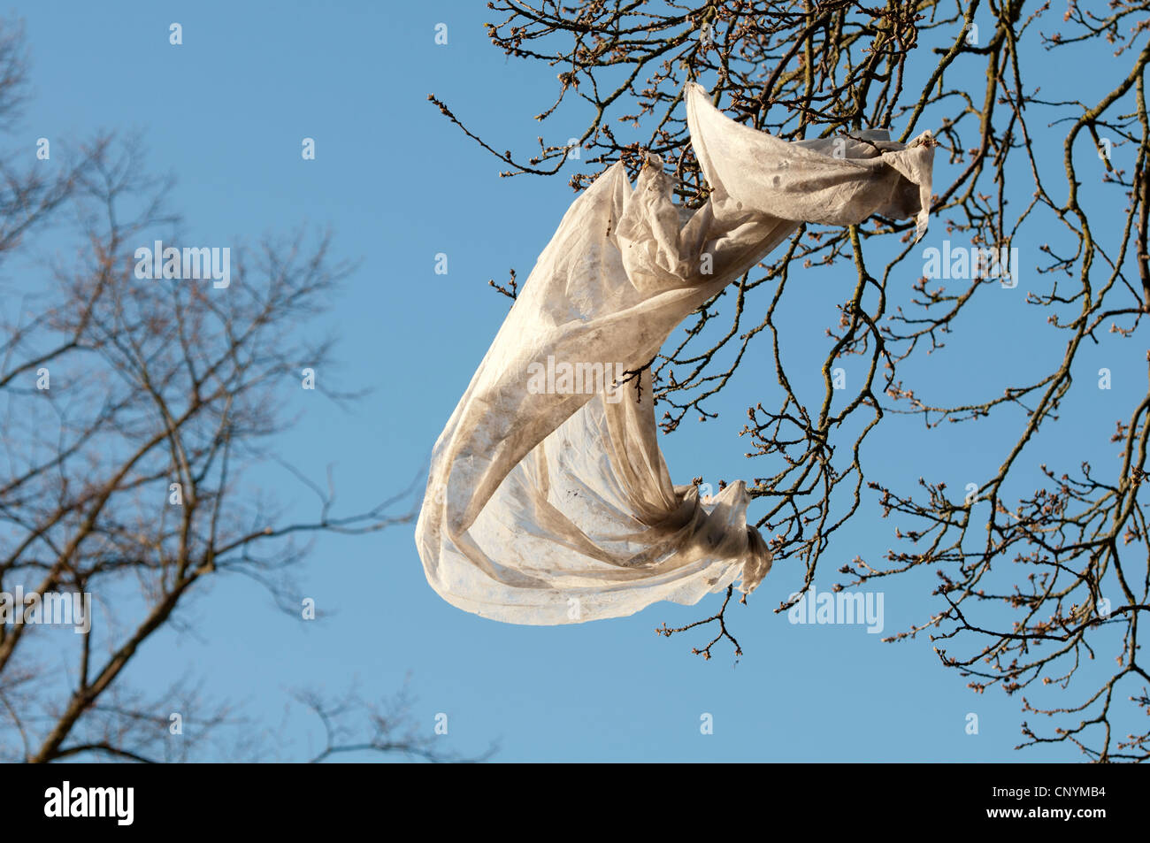 Gartenbau Fleece-Material in einem Baum gefangen Stockfoto