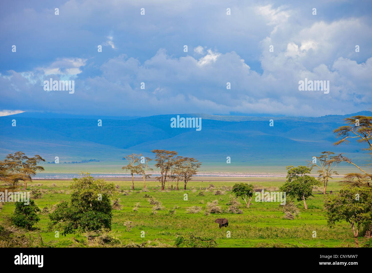 Landschaft des Ngorongoro Crater, Tansania, Ngorongoro NP Stockfoto