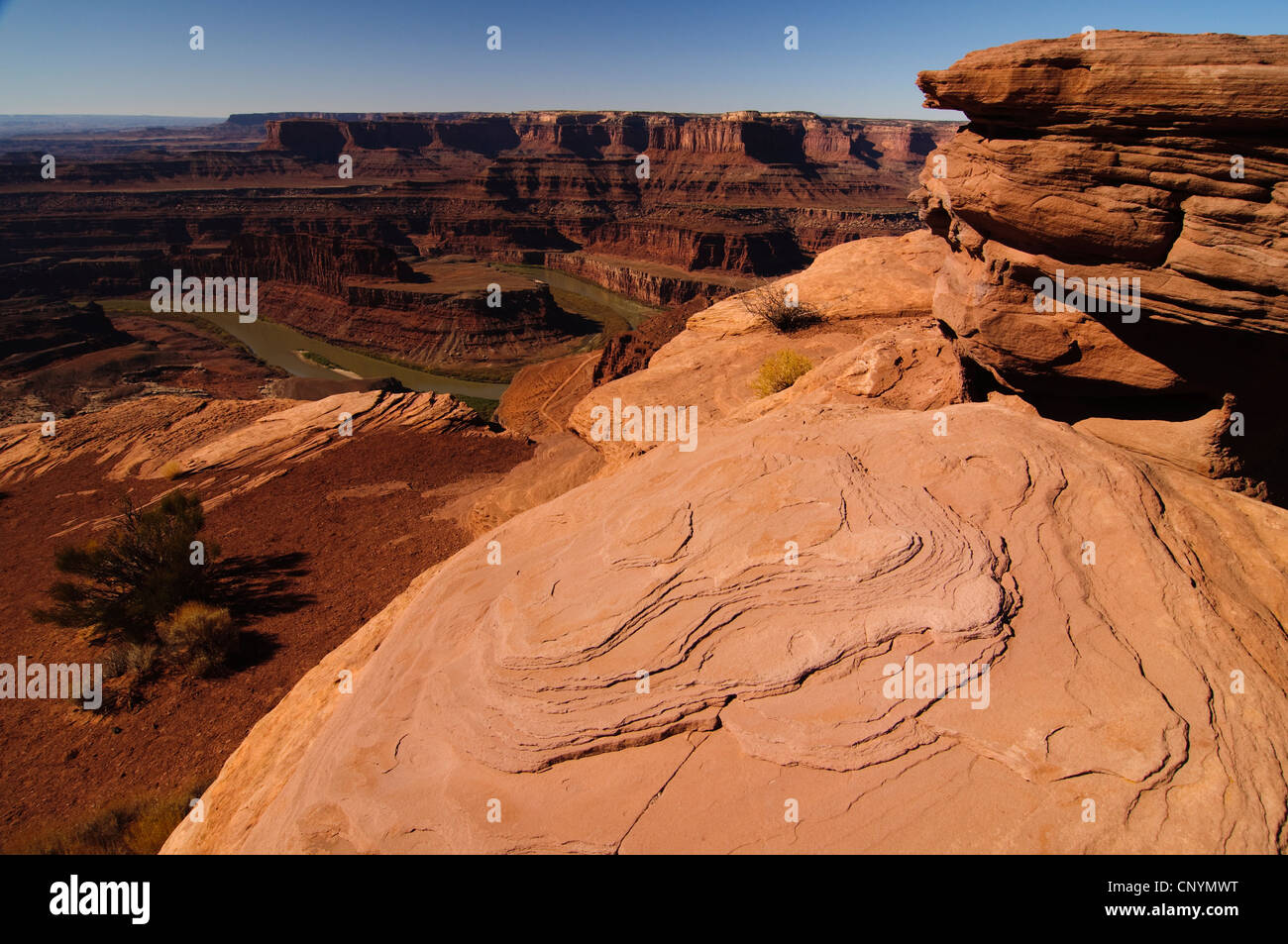 Ein Blick auf Colorado River vom Dead Horse Point Stockfoto