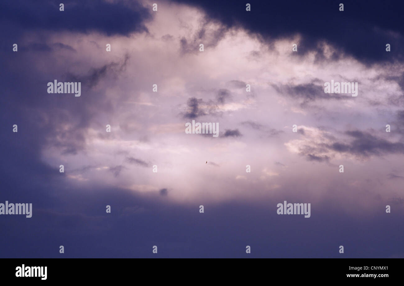 dunkle Wolke in den Himmel Stockfoto