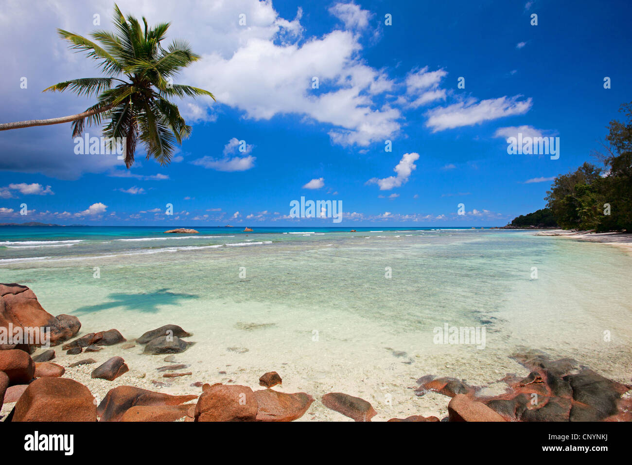 idyllischen Traumstrand, Seychellen Stockfoto