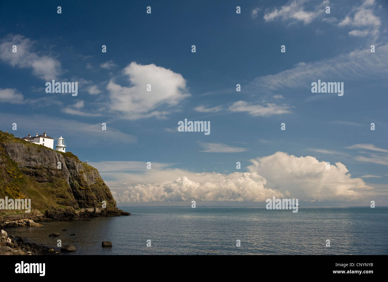 Morgen am Blackhead Leuchtturm, County Antrim, Nortern Irland. Stockfoto