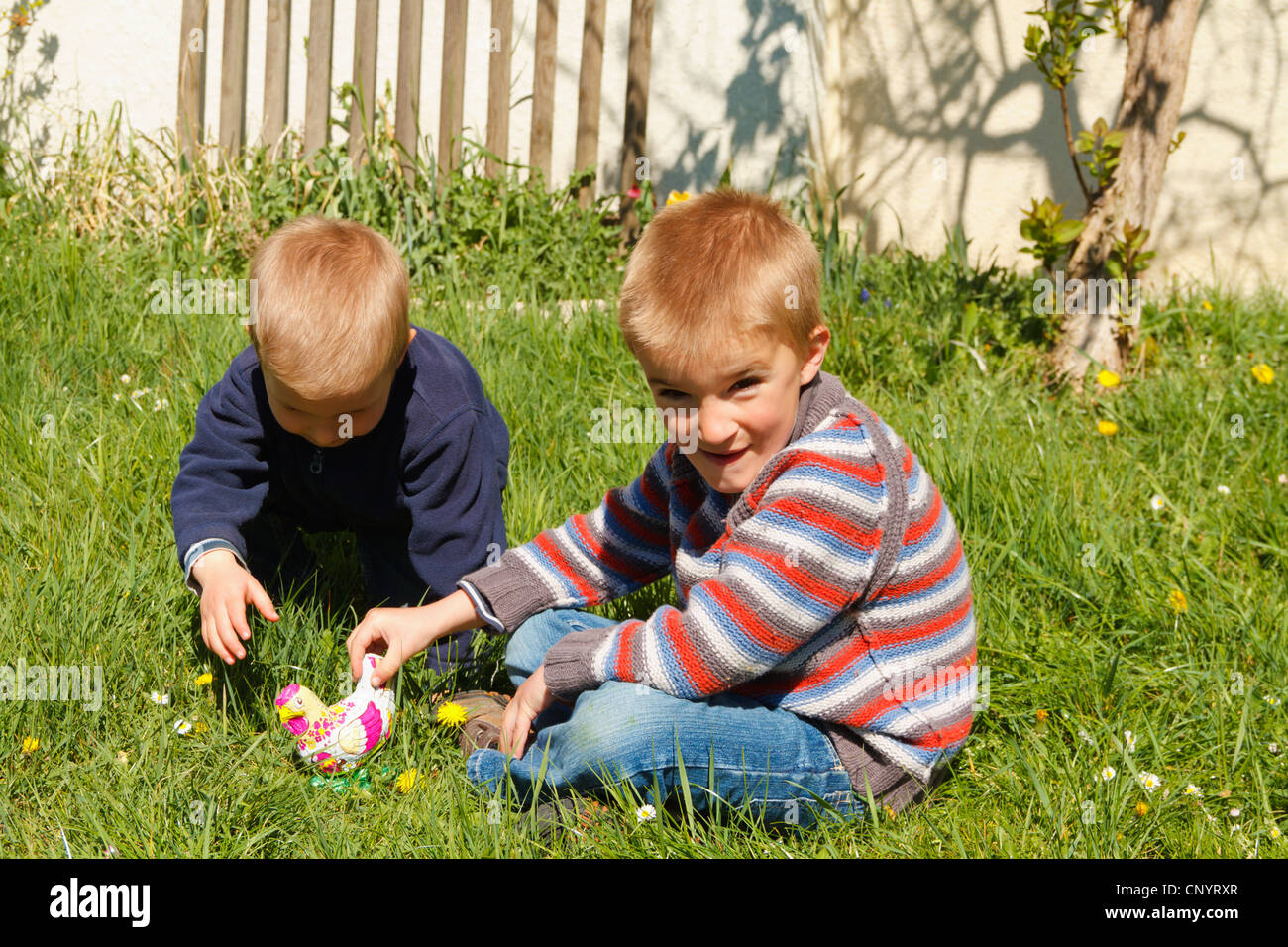 Brüder spielen auf Rasen mit Osterküken. Stockfoto