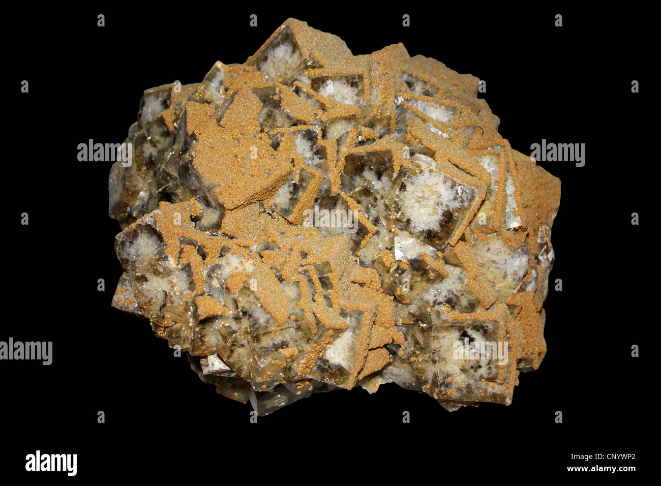 Fluorit gelb braun kubische Kristalle mit Siderit Überwucherung, St Peters, Mine, Allenheads, Northumberland, England Stockfoto