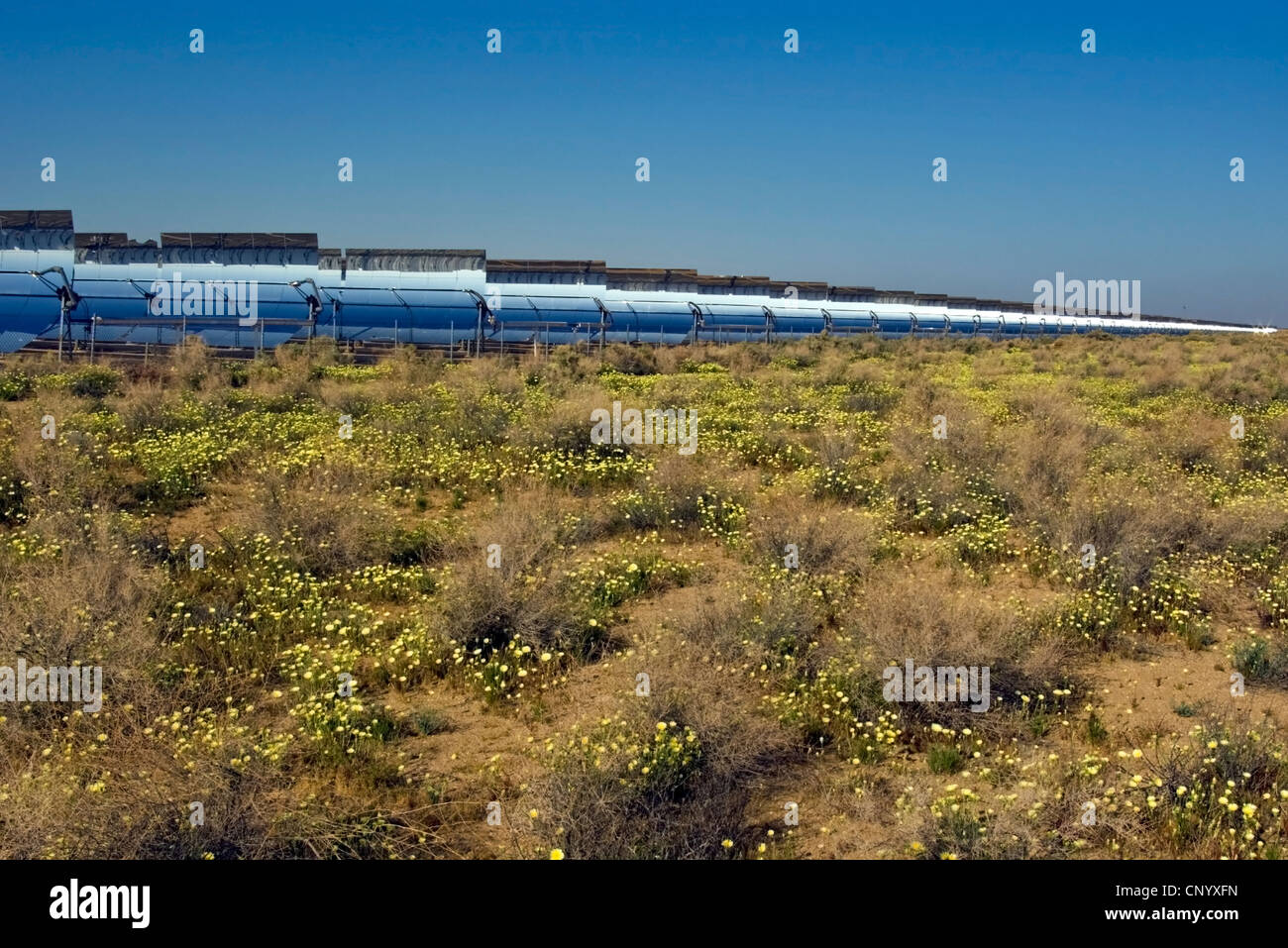 Eine Reihe von solar Spiegel in der Mojave-Wüste. Stockfoto