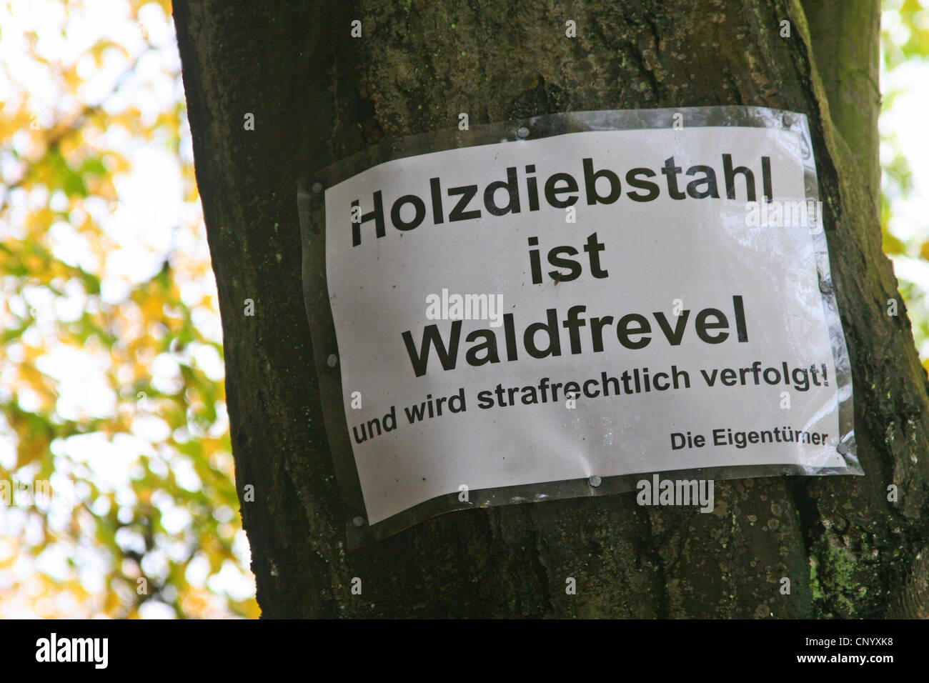 Warnschild am Baum Trund "Holz Diebstahl ist ein Verstoß gegen die Gesetze des Waldes", Deutschland, Nordrhein-Westfalen Stockfoto