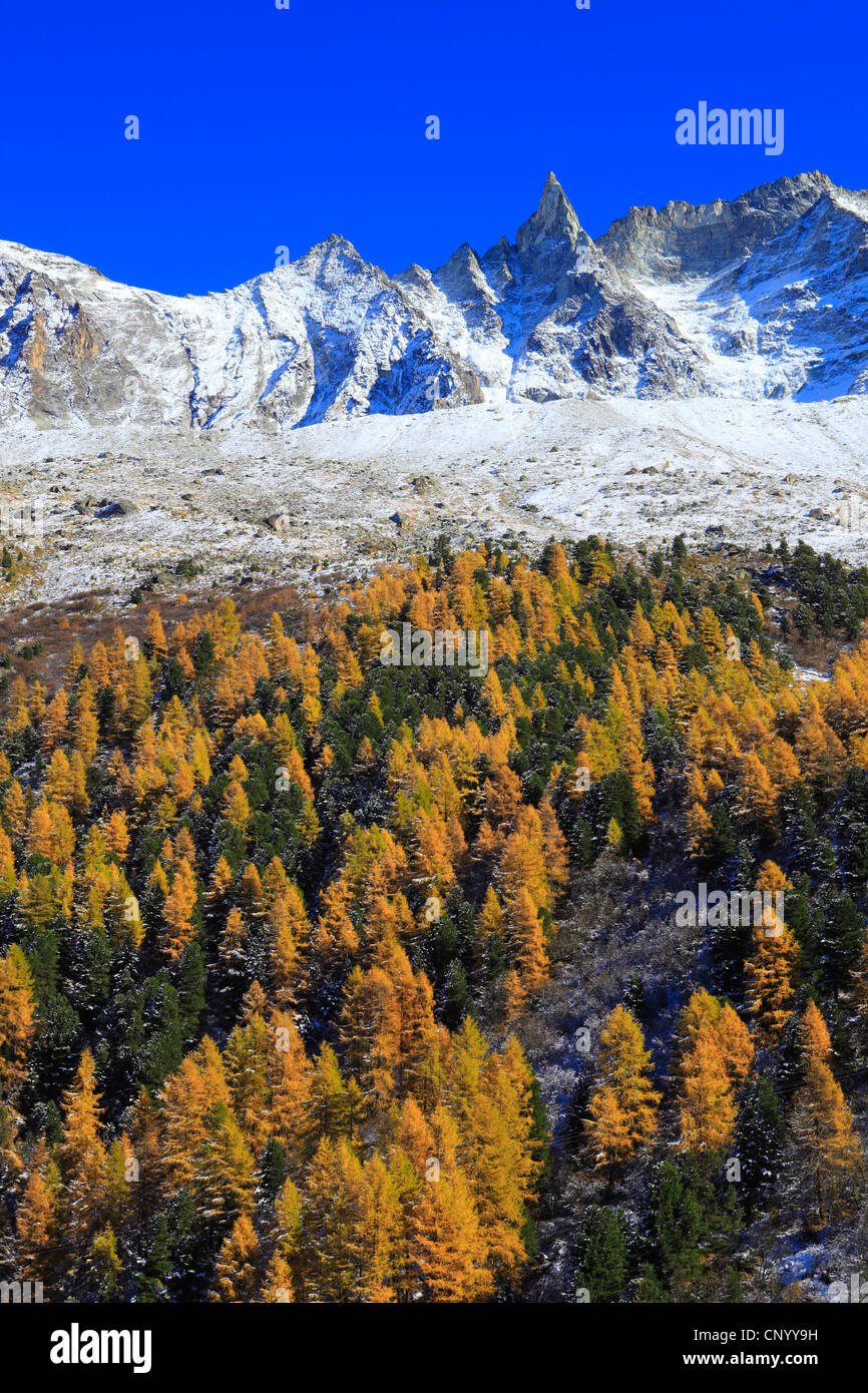 Tal Arollatal mit Aiguille De La Tsa (3668 m), Schweiz, Wallis Stockfoto