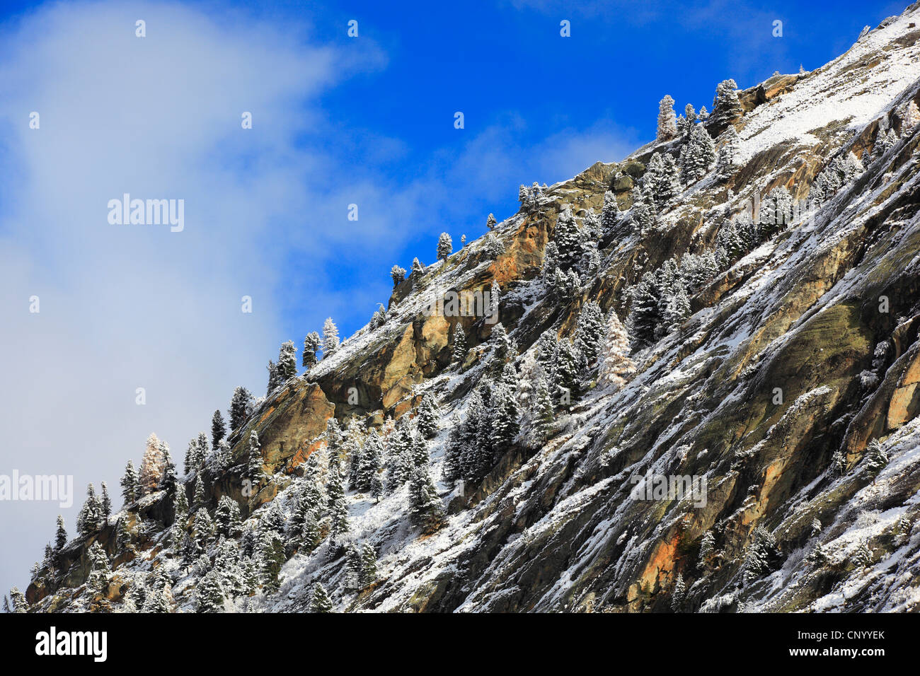 felsigen Hang im Arolla-Tal, Schweiz, Wallis Stockfoto