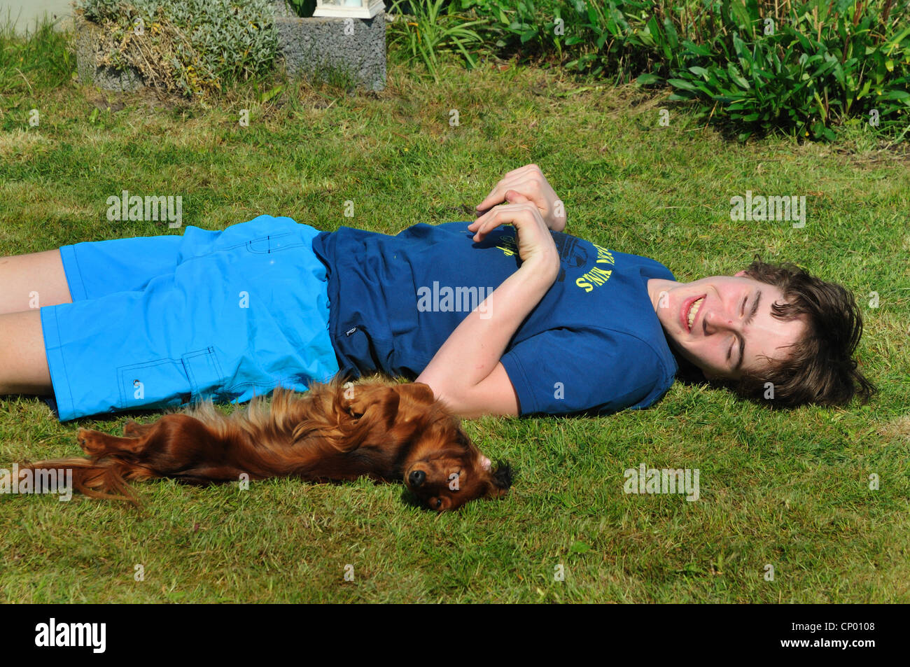 Langhaar Dackel, Langhaar Dackel, Haushund (Canis Lupus F. Familiaris), Teenager und Langhaar Dackel auf der Wiese liegen und Sonnenbaden Stockfoto