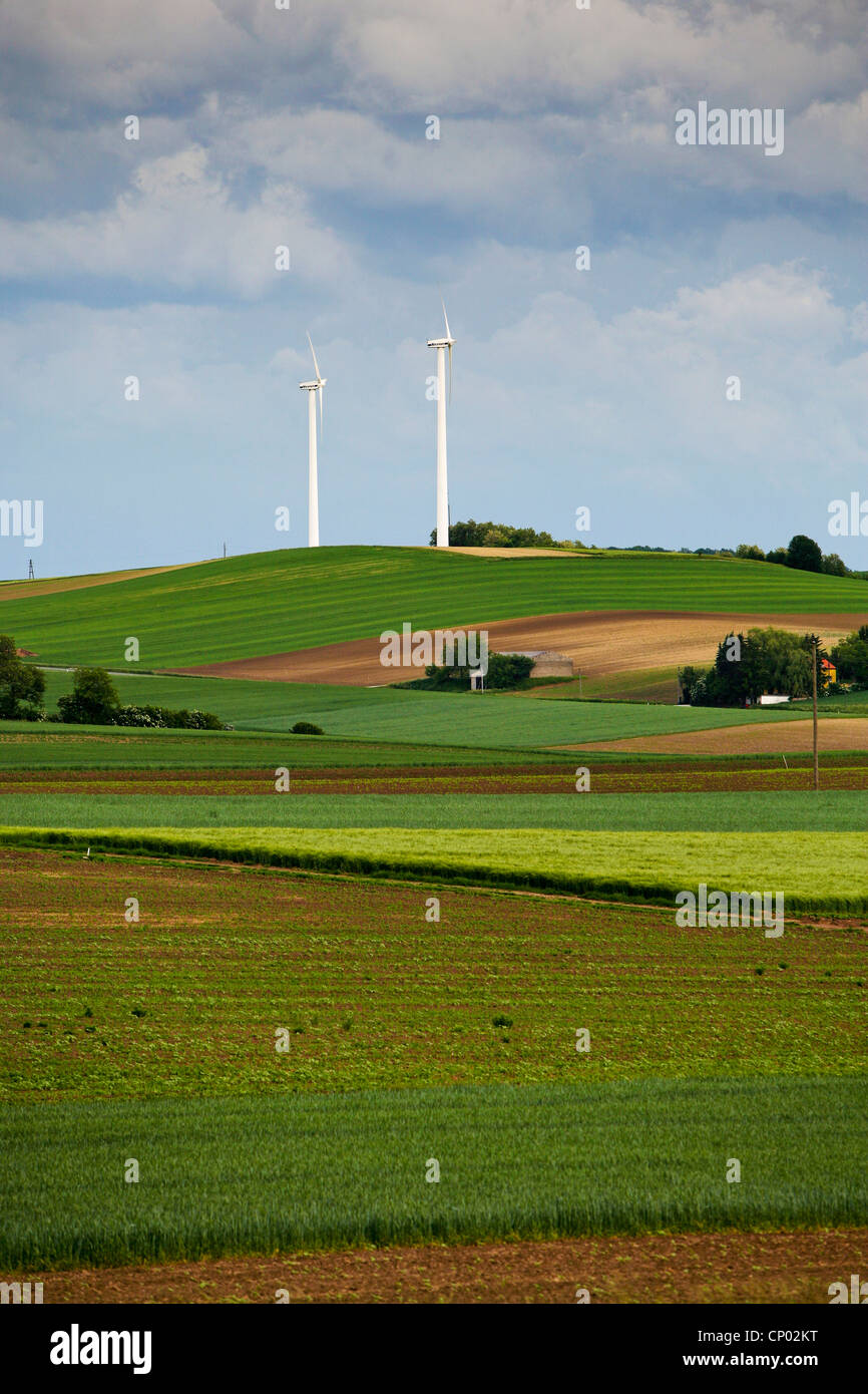 Windkraft in hügeligem Gebiet Landschaft, Österreich, Niederösterreich Stockfoto