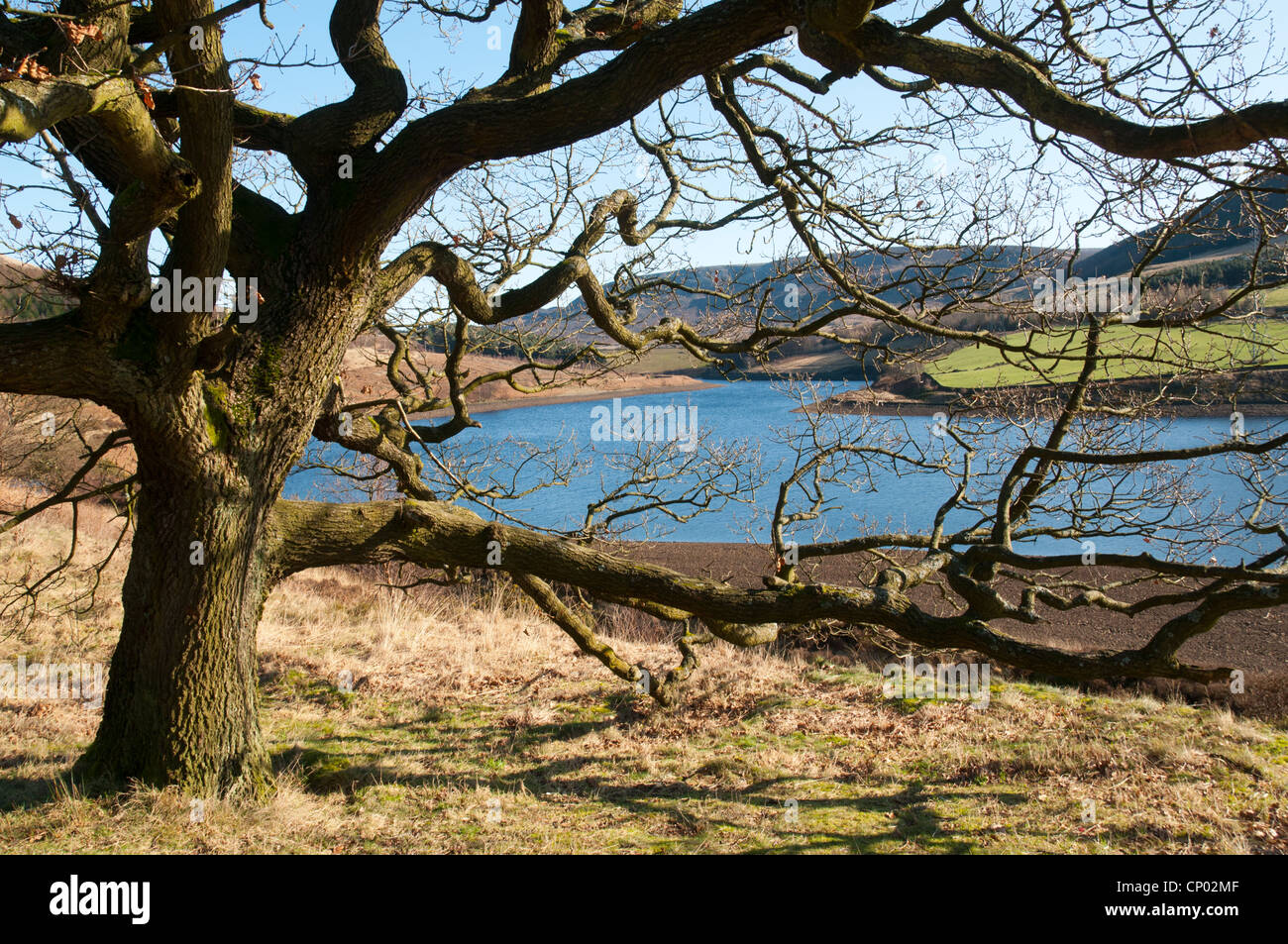 Rhodeswood Reservoir in den Longdendale Valley, Peak District, Derbyshire, England, UK Stockfoto