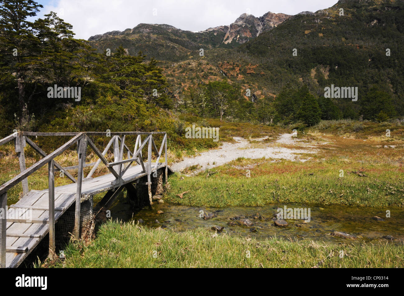 Holzbrücke über den Bach, Nationalpark Alberto de Agostini, Feuerland, Chile Stockfoto