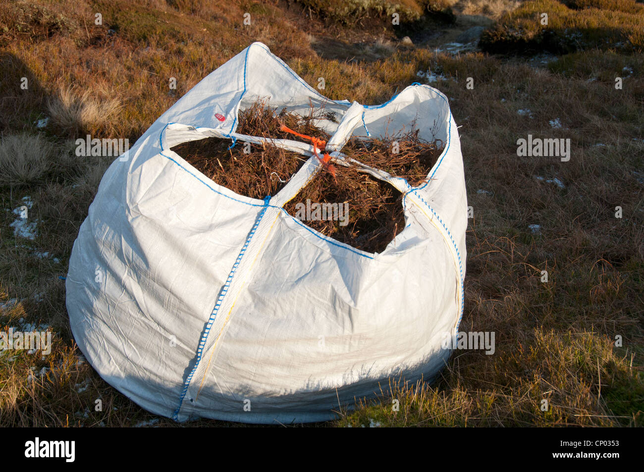 Eine Tasche von Heather frech, verwendet für Torf Naturschutzarbeit auf Bleaklow, Peak District, Derbyshire, England, UK Stockfoto