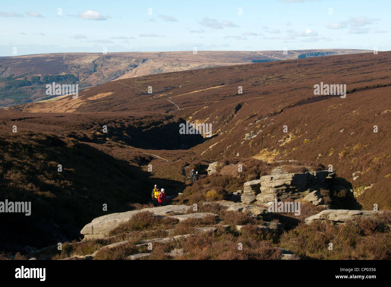 Wanderer im Torside Clough, Bleaklow.  Blick in Richtung Longdendale, Peak District, Derbyshire, England, UK Stockfoto