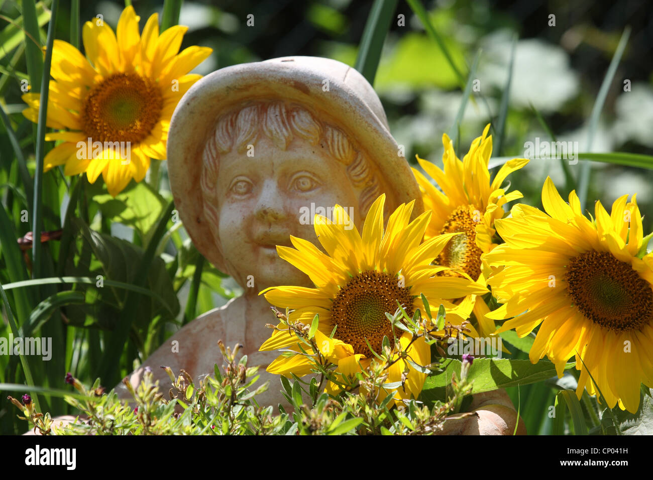gewöhnliche Sonnenblume (Helianthus Annuus), Garten Figur mit Sonnenblumen, Deutschland Stockfoto