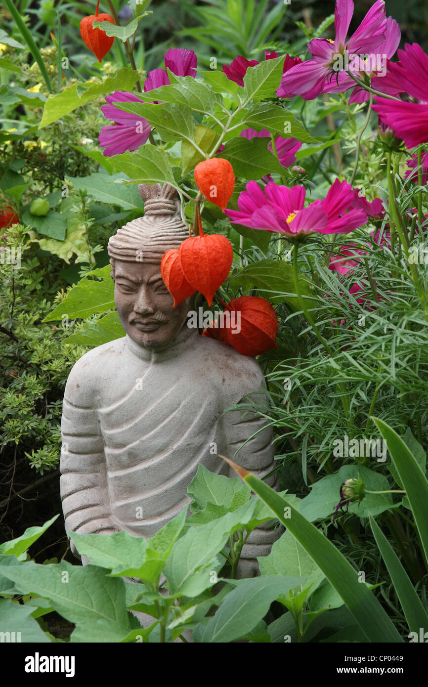 Garten Kosmos, mexikanische Aster (Cosmos Bipinnatus), buddhistische Skulptur in ein Blumenbeet Stockfoto