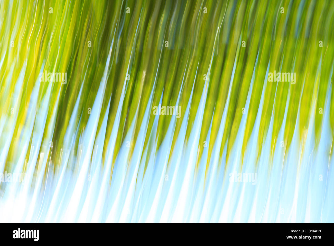 Impressionistische Darstellung der Palmwedel vor blauem Himmel Stockfoto