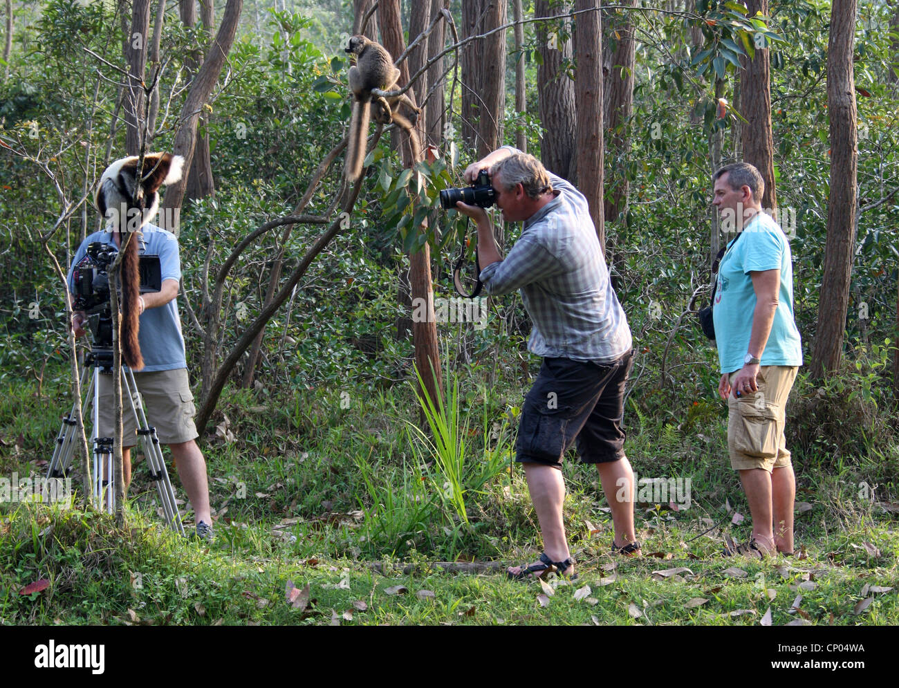 Martin Clunes Lemuren in Madagaskar mit einer ITV-Film-Crew zu fotografieren. Vakona Lodge Waldreservat, Andasibe. Stockfoto