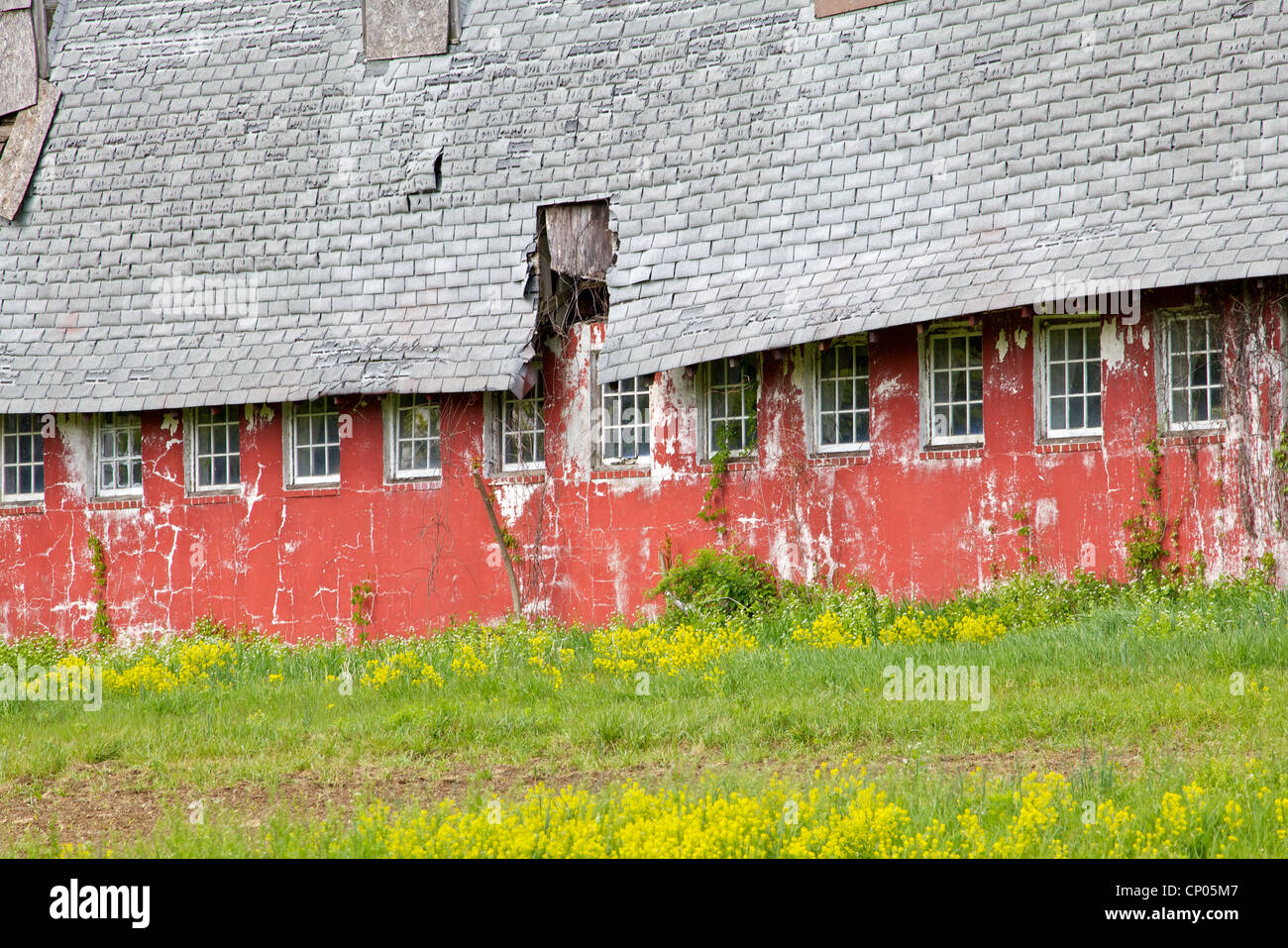 Baufälligen alten Bauernhof Scheune Stockfoto