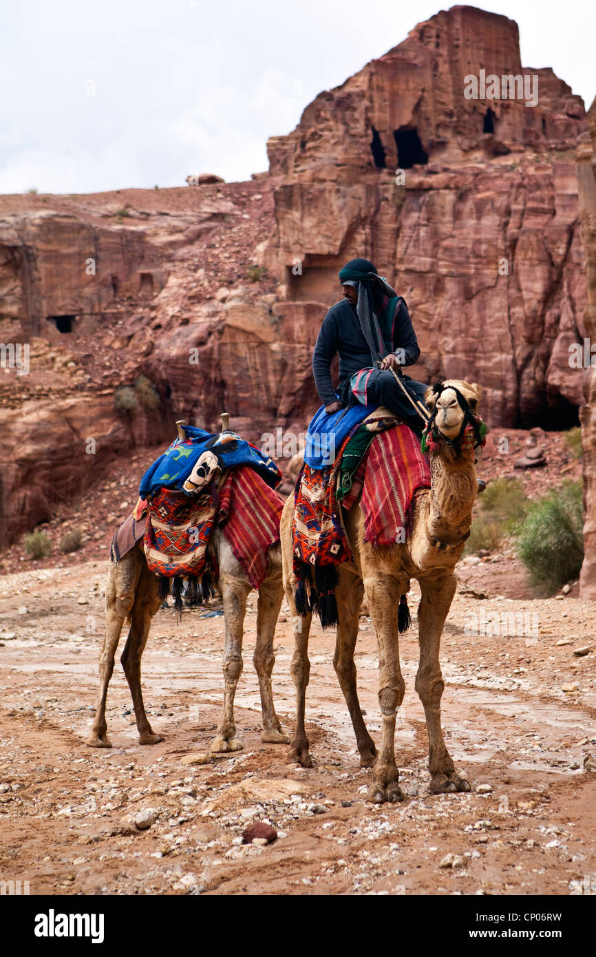 Touristischen Kamele, die Straße von Fassaden, Petra, Jordanien, Westasien Stockfoto