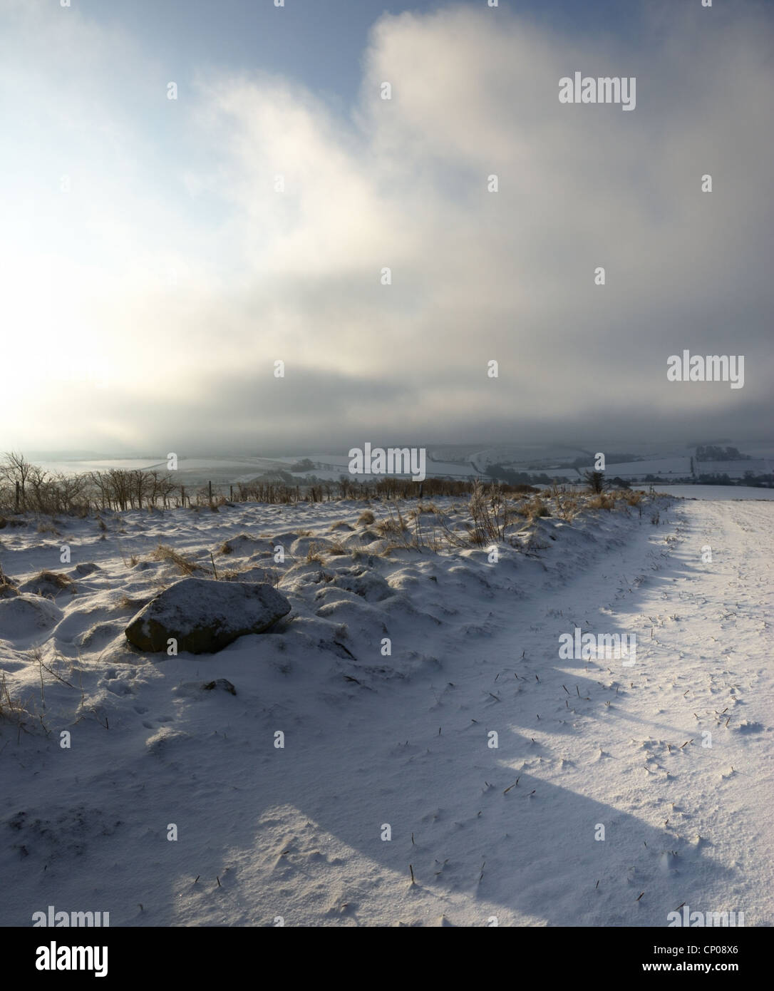 Starke Winter Schatten auf eine Feldgrenze auf die Marlborough Downs mit windigen Neuschnee auf dem Boden Stockfoto