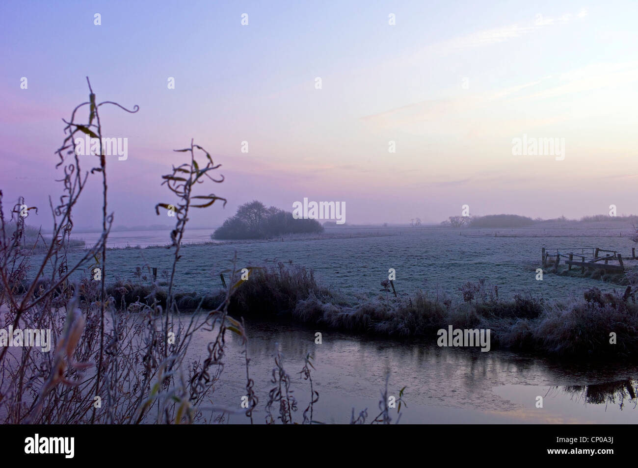 Naturschutzgebiet Breites Wasser Morgen Laune, Worpswede, Osterholz, Niedersachsen, Deutschland Stockfoto