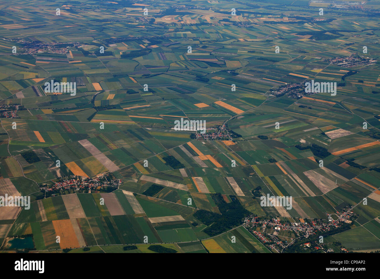 Agrarlandschaft im Burgenland, Österreich, Burgenland Stockfoto