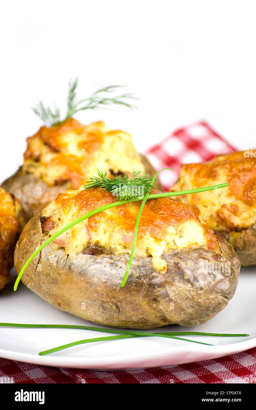 gefüllte Kartoffeln mit Cheddar-Käse bedeckt dekoriert mit Schnittlauch und Dill lässt in einem weißen Teller Stockfoto