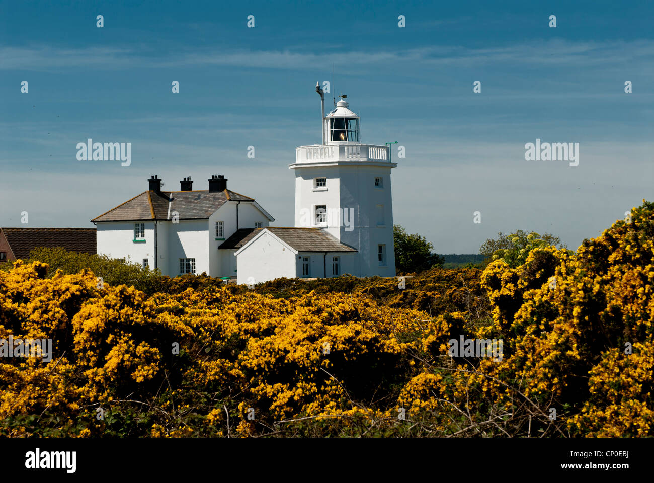 Cromer Leuchtturm, Norfolk, England UK Stockfoto