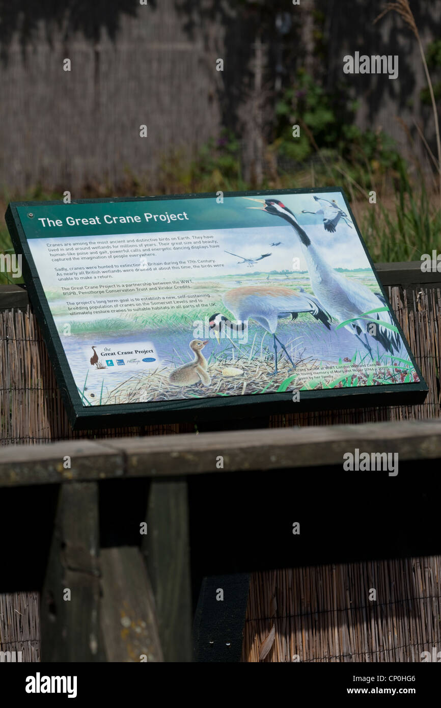 "Der große Kran Projekt'-Interpretative Grafik Display Board, WWT, London Wetland Centre, Barnes. Stockfoto