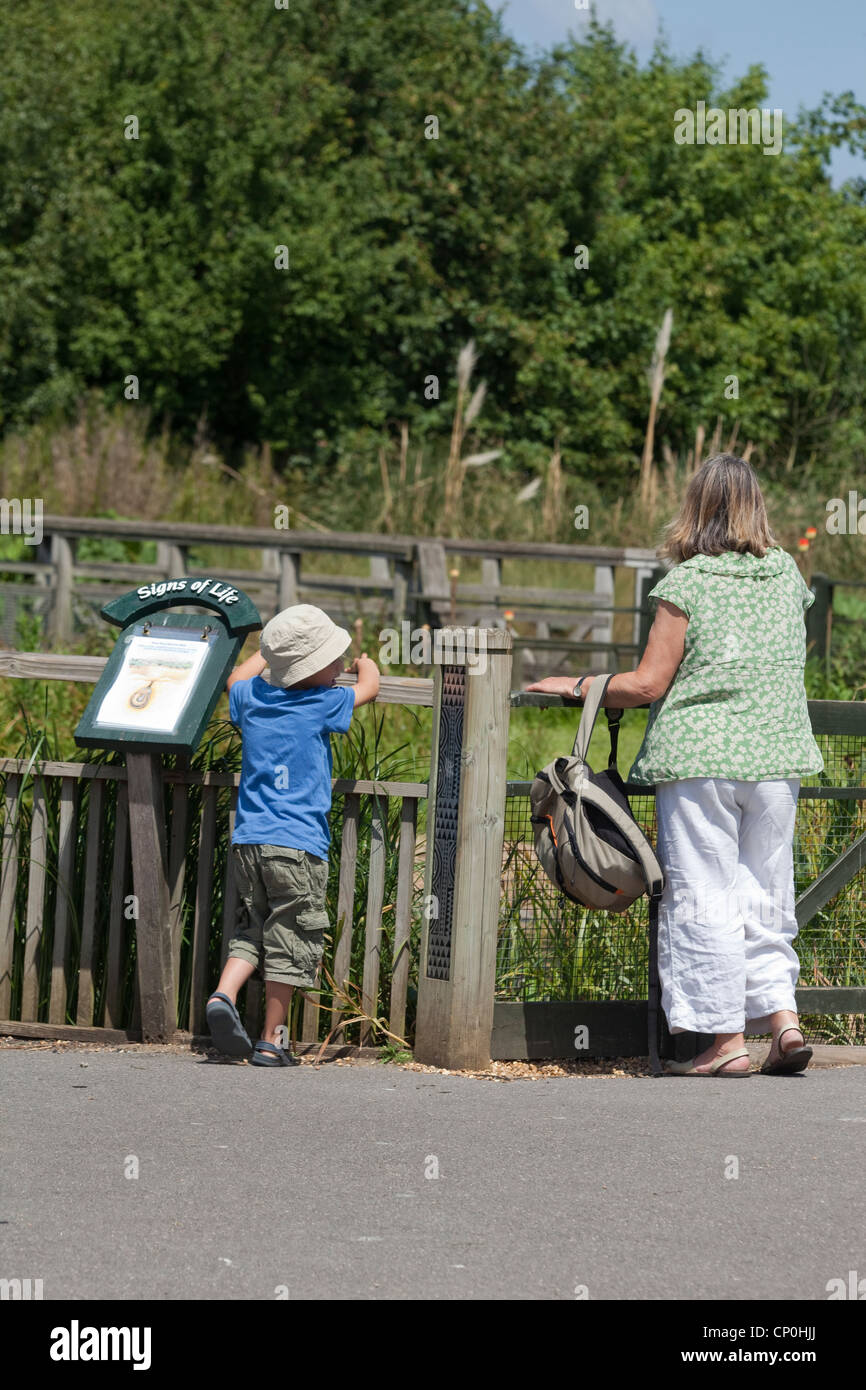 London Wetlands Centre. Wildvogel und Feuchtgebiete Vertrauen. Barnes. Bedeutung Grafik erklären, das Leben in einem Gehäuse. Stockfoto