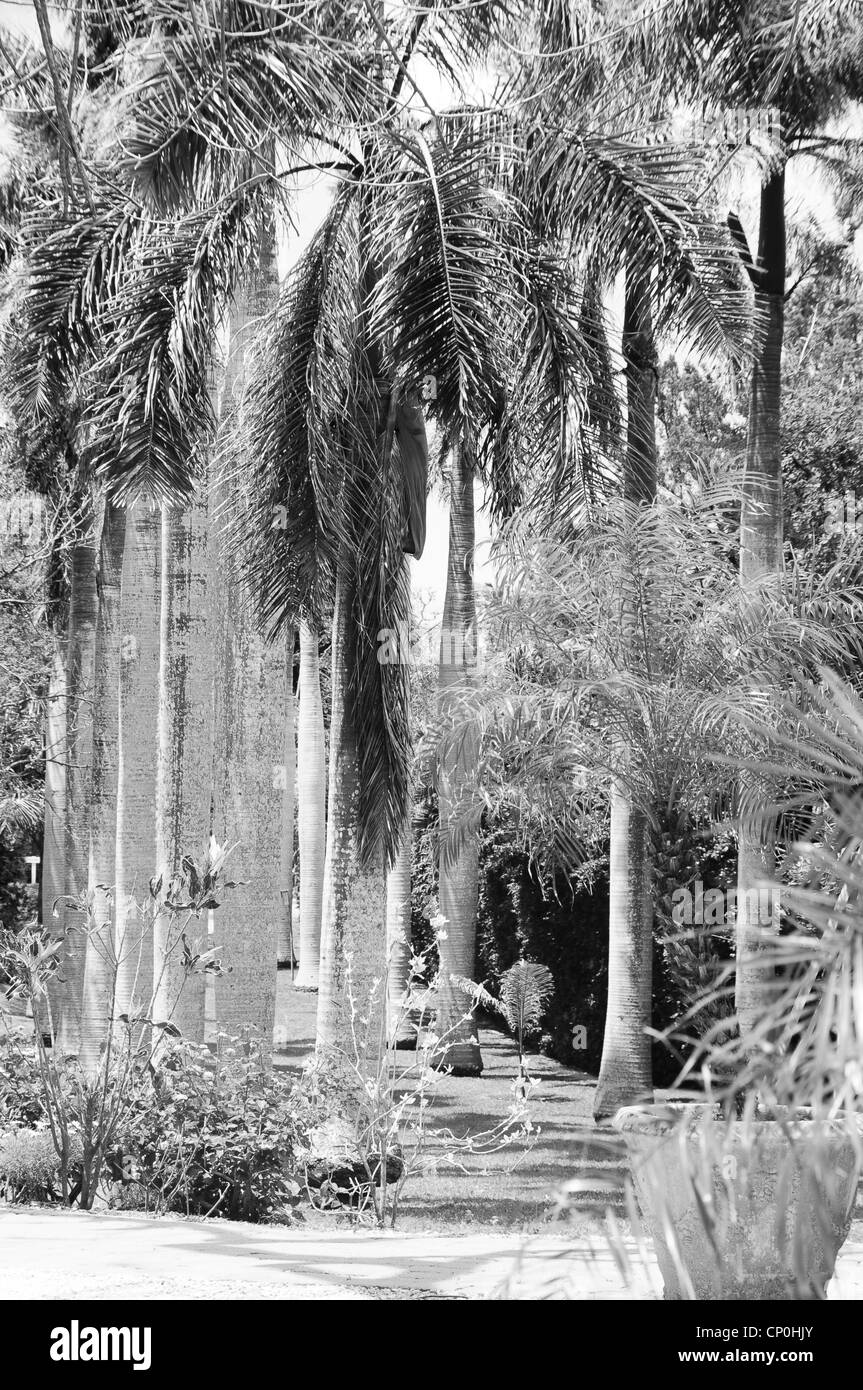 Juneau, Ketchikan, Skagway Alaska USA Stockfoto