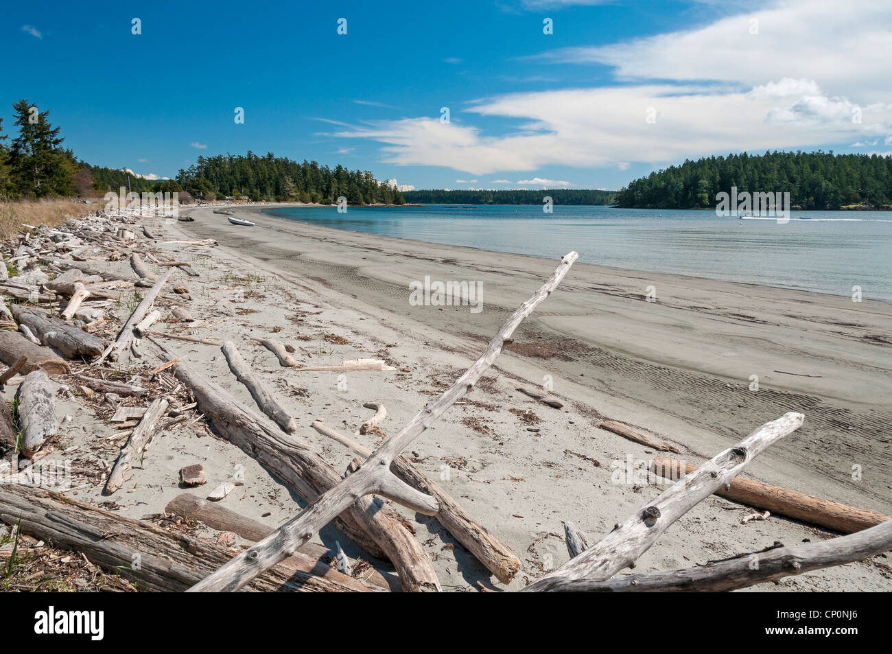 Der Strand am indischen Cove, Shaw Island County Park, San Juan Islands, Washington. Stockfoto